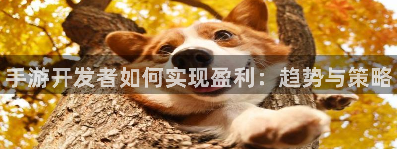 汇丰娱乐加拿大开奖：手游开发者如何实现盈利：趋势与策略