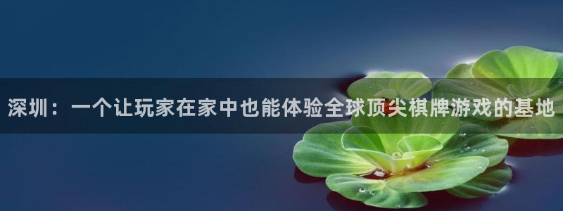 汇丰娱乐统计网：深圳：一个让玩家在家中也能体验全球顶尖棋牌游