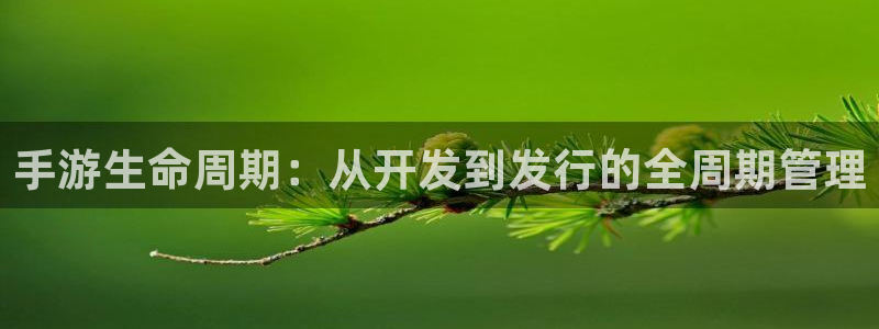 汇丰娱乐官方网站：手游生命周期：从开发到发行的全周期管理