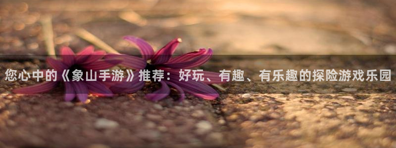 汇丰娱乐开奖结果查询：您心中的《象山手游》推荐：好玩、有趣、