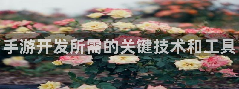 汇丰娱乐：手游开发所需的关键技术和工具