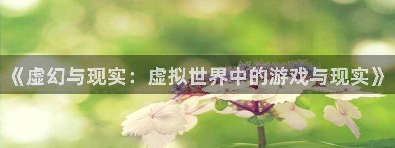汇丰娱乐杀最厉害三个组合：《虚幻与现实：虚拟世界中的游戏与现