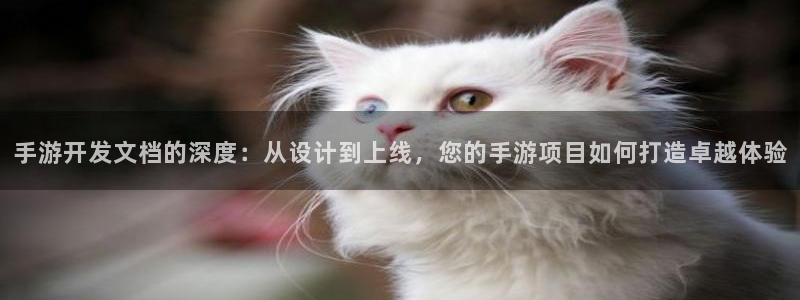 汇丰娱乐开奖软件：手游开发文档的深度：从设计到上线，您的手游