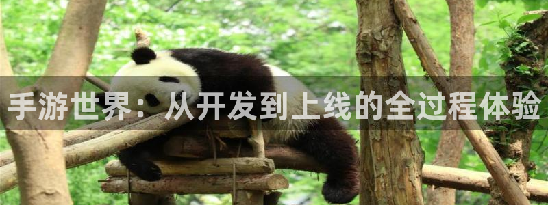 汇丰娱乐加拿大：手游世界：从开发到上线的全过程体验