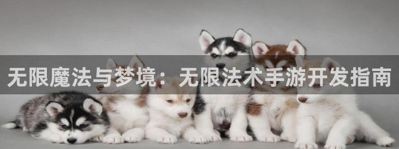 汇丰娱乐软件：无限魔法与梦境：无限法术手游开发指南
