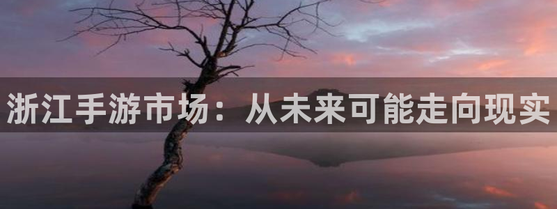 pc汇丰娱乐预测百分比：浙江手游市场：从未来可能走向现实