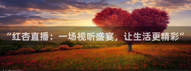 nba直播吧小九直播：“红杏直播：一场视听盛宴，让生活更精彩”