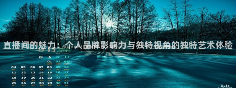 小九直播篮球：直播间的魅力：个人品牌影响力与独特视角的独特艺术体验