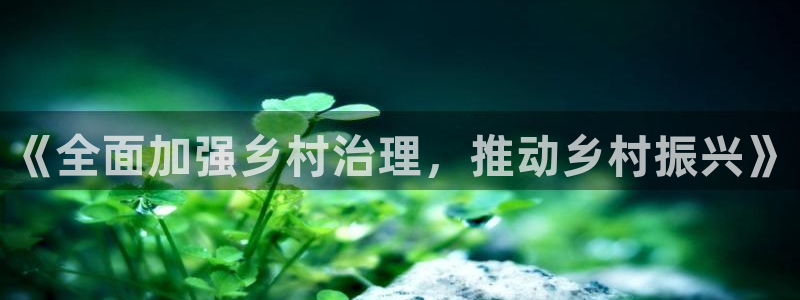 小九篮球直播在线观看：《全面加强乡村治理，推动乡村振兴》