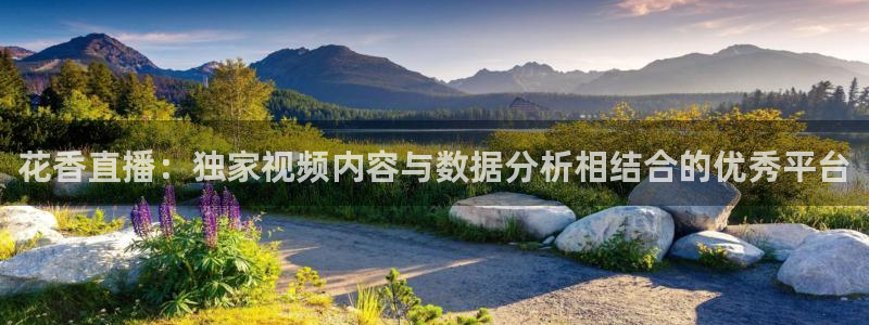 小九篮球直播在线观看：花香直播：独家视频内容与数据分析相结合的优秀平台