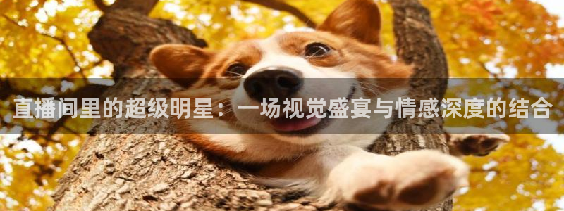 小九直播乐悠足球免费观看：直播间里的超级明星：一场视觉盛宴与情感深度的结合