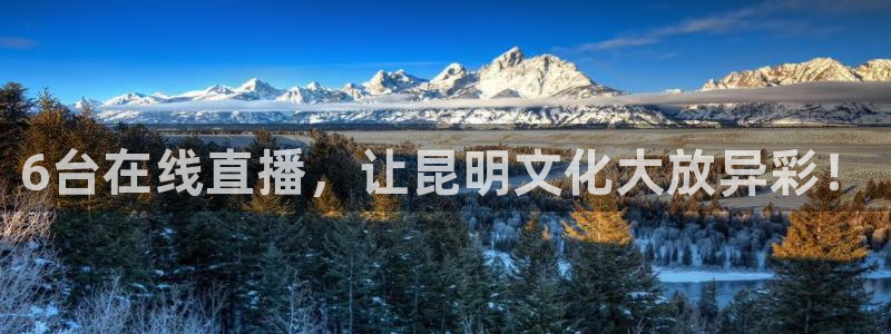 小九直播免费：6台在线直播，让昆明文化大放异彩！