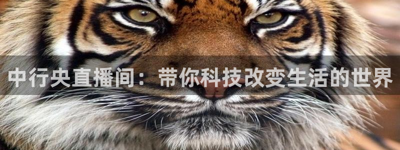 小九直播体育免费观看：中行央直播间：带你科技改变生活的世界