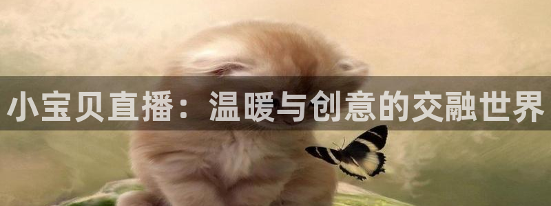 小九nba直播高清免费观看：小宝贝直播：温暖与创意的交融世界