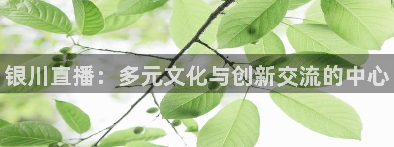 nba直播免费观看直播在线小九：银川直播：多元文化与创新交流的中心