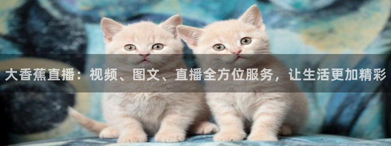 nba在线直播小九直播：大香蕉直播：视频、图文、直播全方位服务，让生活更加精彩