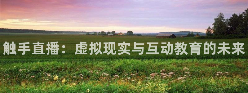nba直播小九直播：触手直播：虚拟现实与互动教育的未来