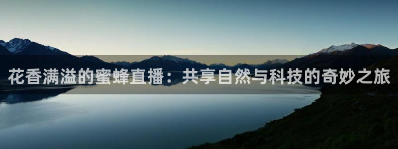 小九足球直播：花香满溢的蜜蜂直播：共享自然与科技的奇妙之旅