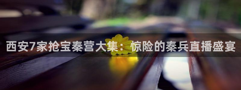 小九直播篮球nba：西安7家抢宝秦营大集：惊险的秦兵直播盛宴
