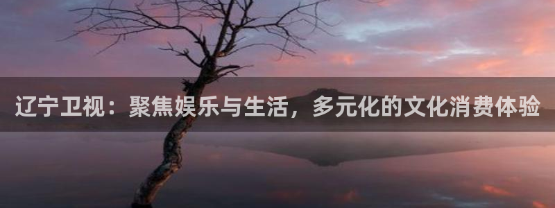 小九直播nba免费观看高清：辽宁卫视：聚焦娱乐与生活，多元化的文化消费体验