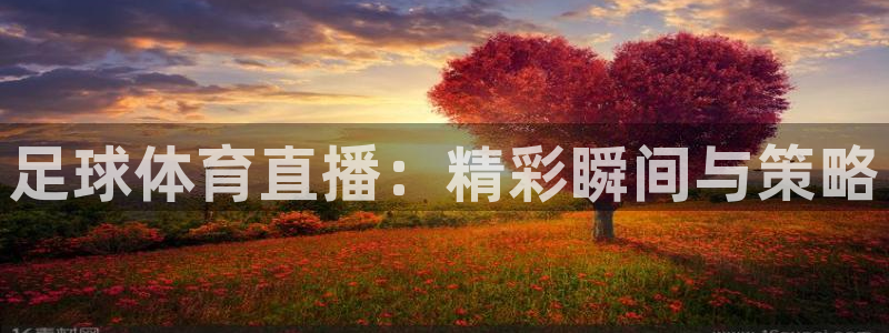 小九直播下载：足球体育直播：精彩瞬间与策略