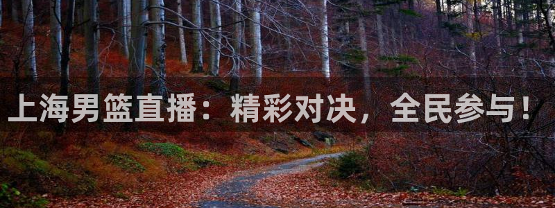 小九直播间足球直播：上海男篮直播：精彩对决，全民参与！